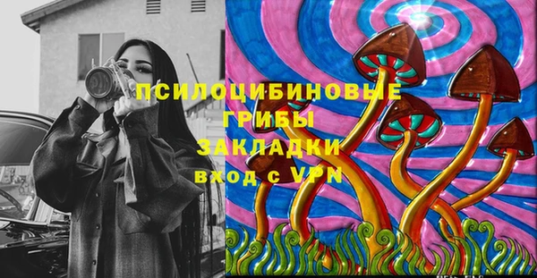 мдпв Армянск