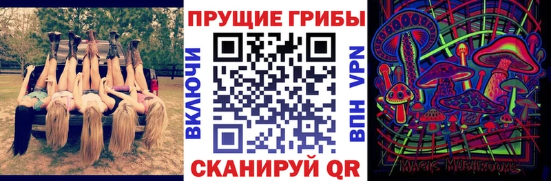 Галлюциногенные грибы ЛСД  купить наркотик  Приморско-Ахтарск 